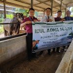 Menyelami Ritual Qurban: Dekonstruksi Teologis, Maslahat Sosial, dan Tantangan Ekologis di Era Kontemporer